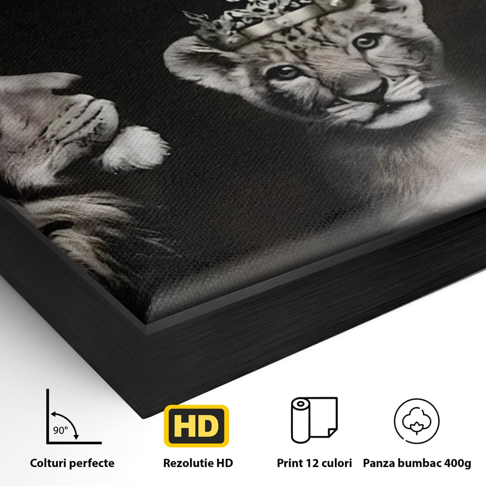 Detaliu al suprafetei: tablou canvas cu familie de lei cu coroane, in rama de aluminiu negru